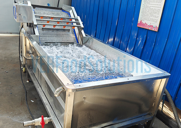 Immersion meat seafood fruit vegetable thawing machine