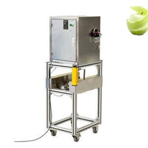 Automatic Apple Peeling Pitting Slicing Machine